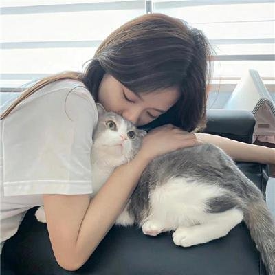 狼群出动